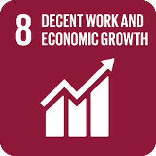 SDG 8