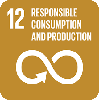 SDG 12